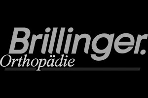 Brillinger-Logo_Reinform_transparent_standard_digital